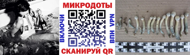 Псилоцибиновые грибы GOLDEN TEACHER  Купить закладки  Тихорецк 